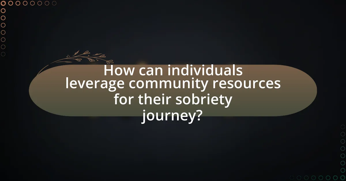 How can individuals leverage community resources for their sobriety journey?