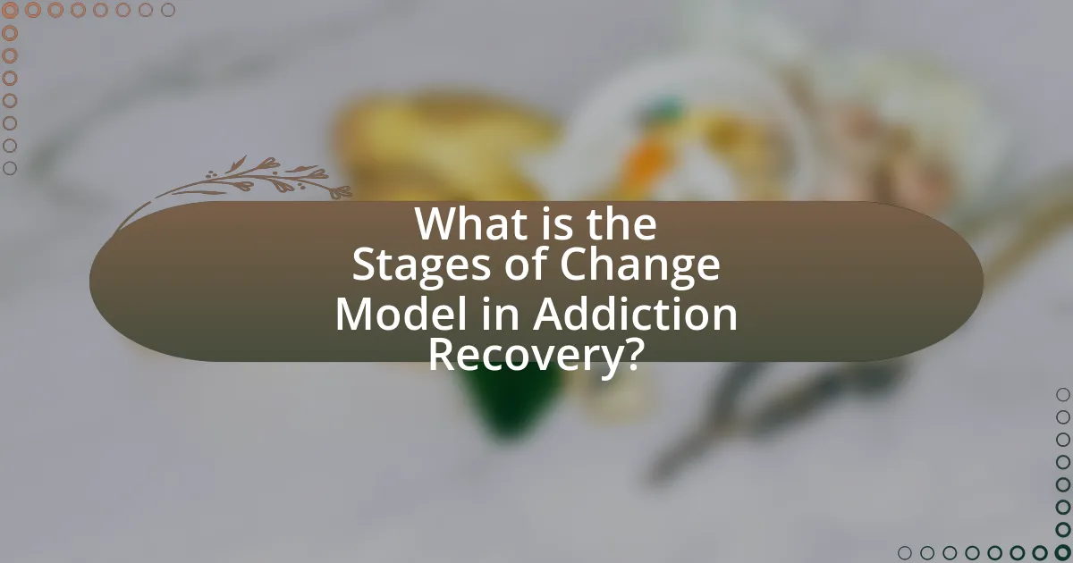 What is the Stages of Change Model in Addiction Recovery?